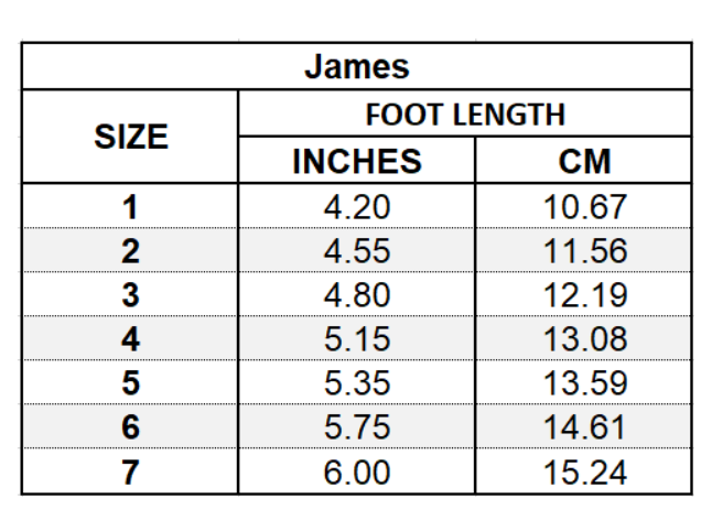 PO: James Lace Up Shoe